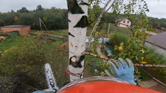 Спил березы по частям (Арборист) смотреть онлайн