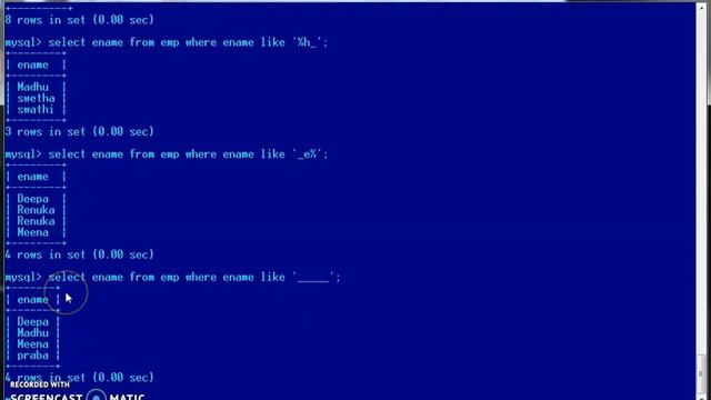Working with SQL|Pattern Matching LIKE|NOTLIKE|UPDATE|Class 12 COMPUTER SCIENCE WITH PYTHON CBSE смотреть онлайн