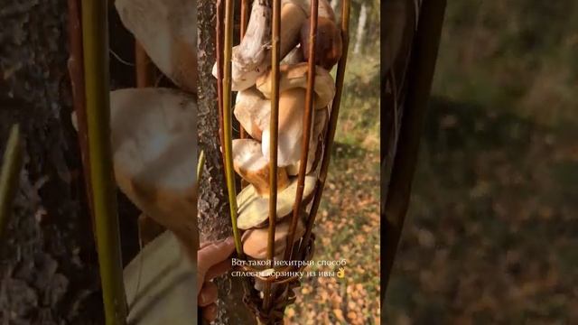 как плести: https://dzen.ru/a/Y05r8aOLMzXyoP0E смотреть онлайн