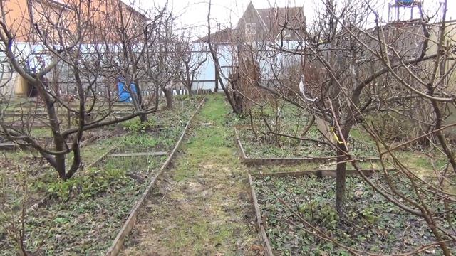 КОГДА ЛУЧШЕ ОБРЕЗАТЬ САД в Средней Полосе? ч. 1 Весенняя обрезка сада смотреть онлайн