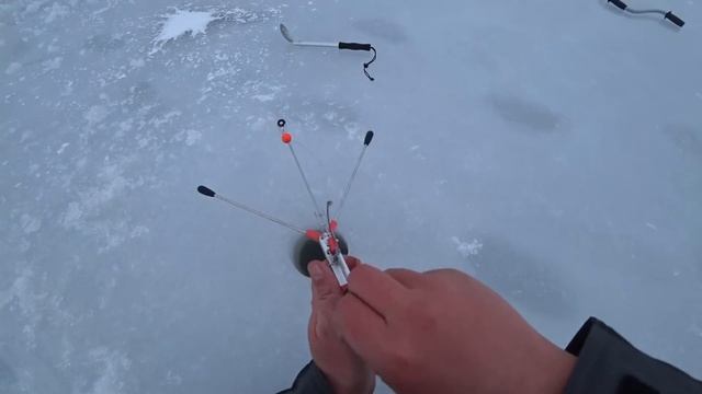 Хитрая зимняя удочка,ЛОВИТ РЫБУ САМА,даже при плохом клёве. Зимняя рыбалка 2019.СУР-300 смотреть онлайн