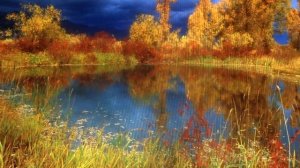 ПЕСЕНКА Галина(живет ,живет в этом доме Галина) пою я