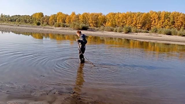 О пользе резиновых сапог #резиновыесапоги #лужа #алтайскийкрай #жизньвдеревне #остров #осень2023 смотреть онлайн