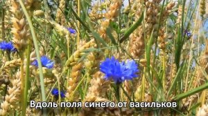 Рассвет стихи Елена Павлова, музыка Ольга Кузьмичёва, вокал Юлия Соколовская