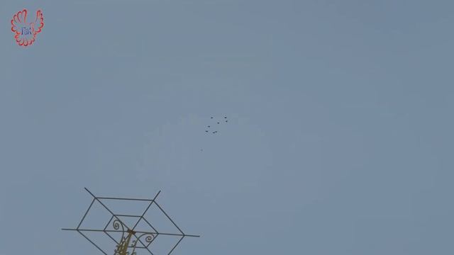 Голуби. 09.01.2022г. смотреть онлайн