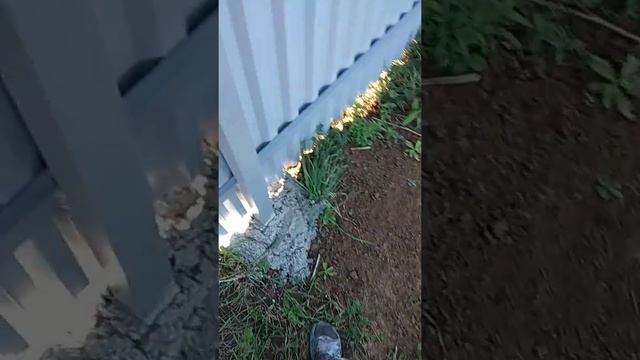 Стоимость забора из профлиста и красивые ворота смотреть онлайн