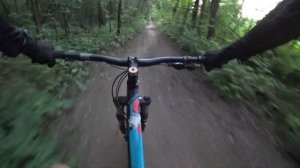 Format 1313 Plus Что с ним не так  почему нужно купить