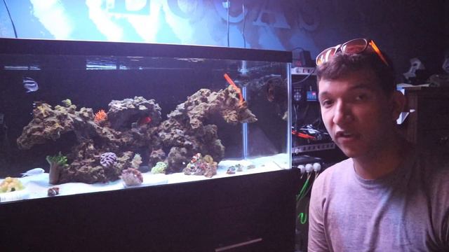 THE 40 REEF APRIL 2019 // CHANNEL UPDATES смотреть онлайн