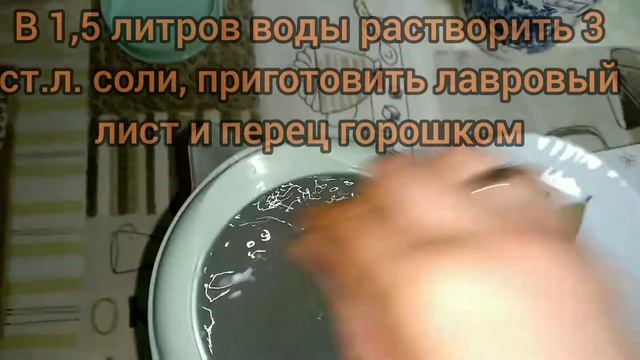 Хрустящая кислая капуста.? смотреть онлайн
