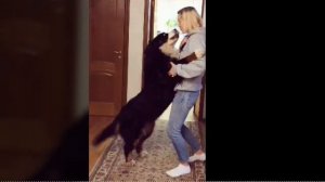 Светлана Антонова Брюханова ❤️