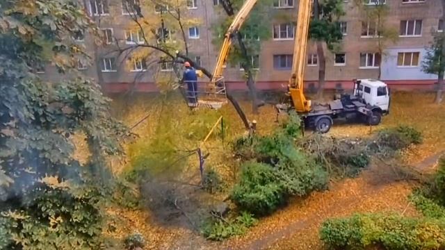 Я СПРОСИЛ У ЯСЕНЯ... смотреть онлайн