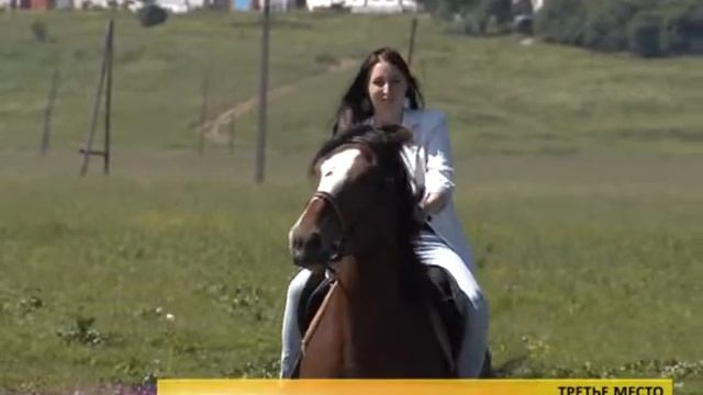 3место Лошади и шашлык С рекламой кафе Дача22222 смотреть онлайн