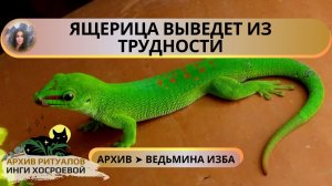 РИТУАЛ ЯЩЕРИЦА ВЫВЕДЕТ ИЗ ТРУДНОСТИ. ДЛЯ ВСЕХ ➤ ВЕДЬМИНА ИЗБА