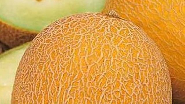 ЛУЧШИЕ СОРТА ДЫНИ || ДЫНЯ ФРУКТ || ДЫНЯ ВЫРАЩИВАНИЕ смотреть онлайн