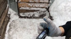 Вес Мангалицы в 2 месяца. Или раз-раз и нет руки?