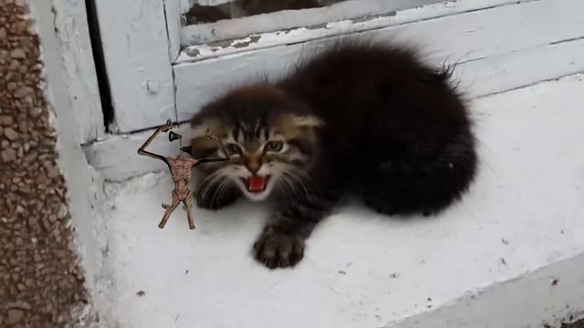СИРЕНОГОЛОВЫЙ и Злой Котёнок  !!! SIREN HEAD And Angry Kitten