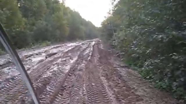 Мангуст Сафари по грунтовке смотреть онлайн