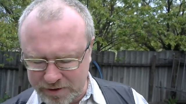 Сколько живёт роевая пчела смотреть онлайн