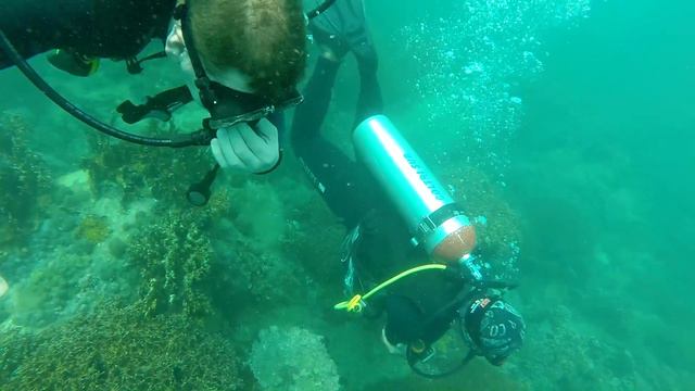 Дайвинг Вьетнам февраль 2017 с FUN DIVERS смотреть онлайн