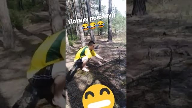Пильщик Сити смотреть онлайн