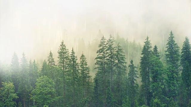 Petrichor Strings смотреть онлайн