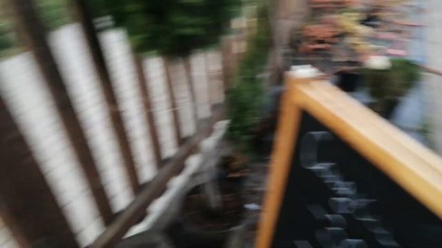 ПОЕЗДКА В ТАМБОВ . ЕЩЕ ОДНА НОВИНКА . ПОКУПКИ ДЛЯ САДА. смотреть онлайн
