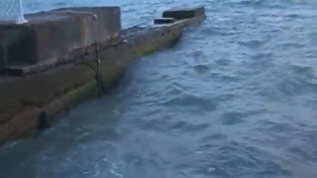 последний вечер на море 25 июня 2019 года смотреть онлайн