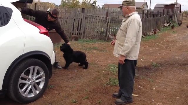 Встреча старых друзей смотреть онлайн