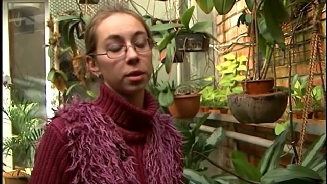 Содержание орхидей. смотреть онлайн