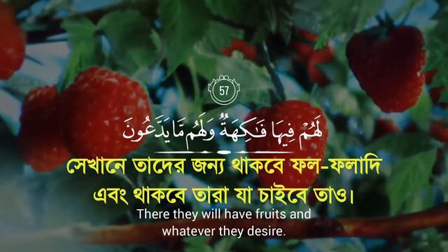 Surah Ya Sin Verse [55-59] Recited By Ahmad Al Nufais смотреть онлайн