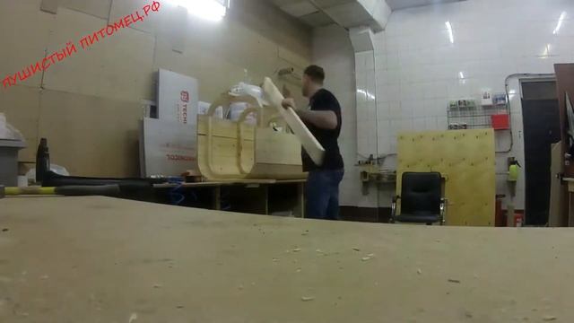 Уличный домик для кошек своими руками смотреть онлайн