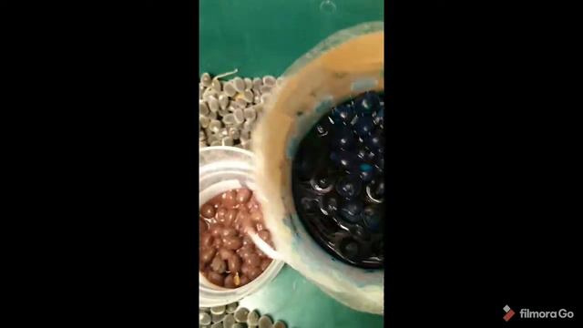 Experimenting with the seeds of the Mickey Mouse Plant смотреть онлайн