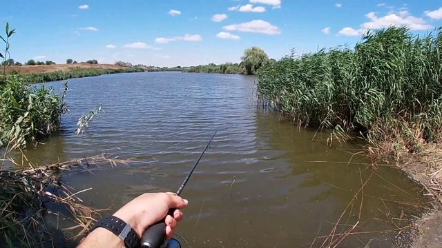 Уловиста СНАСТЬ яка ловить усю РИБУ. Рибалка на ПОПЛА ПОППЕР. Риболовля для початківців на ЩО і ЯК? смотреть онлайн