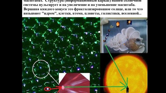 Phoba. Теория динамической решетки эфира. 02.06.16. смотреть онлайн