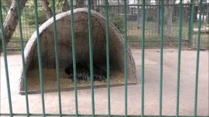 Барнаульский Зоопарк