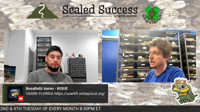 Scaled Success Reptile Podcast Episode #4 - Jeff Galewood JR. JMG Reptiles смотреть онлайн