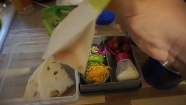 WHAT I PACK MY KID FOR LUNCH + WHAT HE EATS II EASY & SIMPLE SCHOOL LUNCH IDEAS FOR KIDS смотреть онлайн