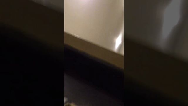 Drunken neighbor 4 смотреть онлайн