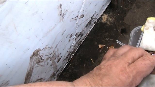 сеем экзоты смотреть онлайн