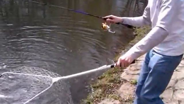 FishComm Shop: Подсак рыболовный Kosadaka LNML 10 (в действии / in action) смотреть онлайн