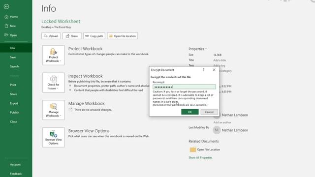 password protect your Excel spreadsheet video #password #excel смотреть онлайн