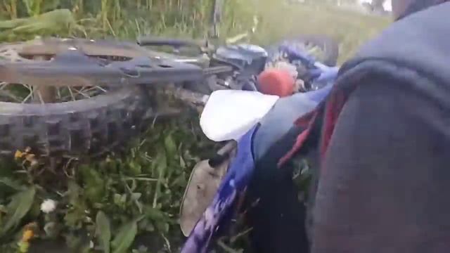 Кража кукурузы. Что-то пошло не по плану. смотреть онлайн