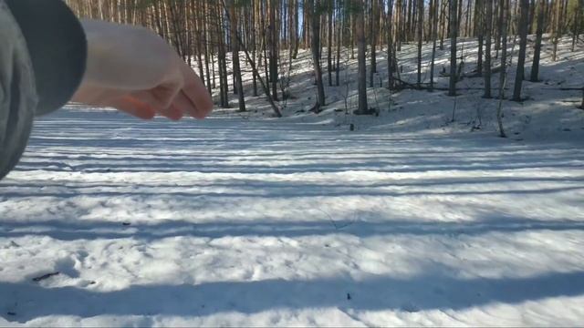 Выращивание клариевого сома в озере. Часть 1. смотреть онлайн