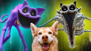 КОТ ДРЕМОТ ПРОТИВ КОТА ДРЕМОТА ЕХЕ!! (Хаски Бублик) Говорящая собака Mister Booble