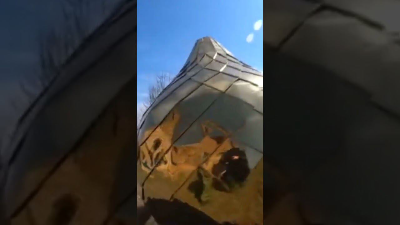 ✅УКРАЛИ КУСОК СУСАЛЬНОГО ЗОЛОТА с церковного купола!!! смотреть онлайн