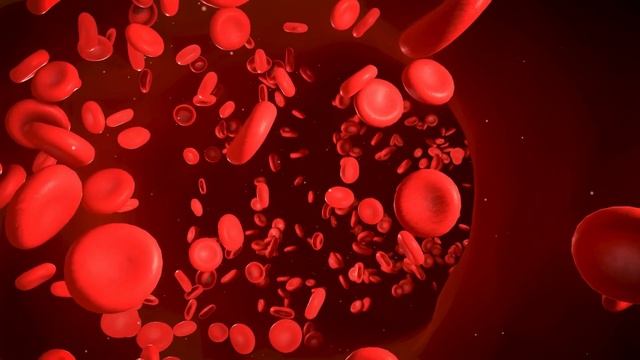 12 Important Functions of the Liver смотреть онлайн