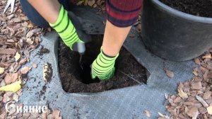 Геотекстиль на садовом участке – боремся с сорняками и т.д.