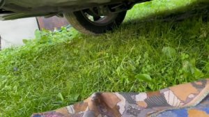 Kia Cerato 2.0 (2021 г. в.) диоды в задний ход