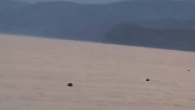 снимаем буйки с берега другой ракурс смотреть онлайн