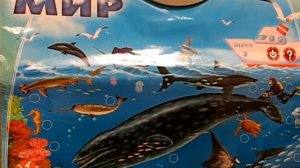 Звуковой плакат "Морские обитатели" ролик 1